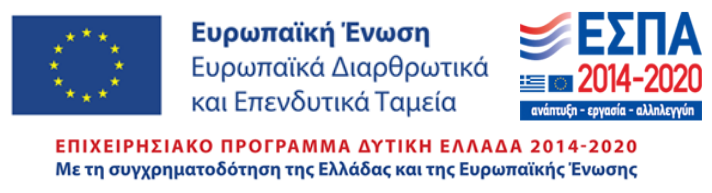 epanek logo